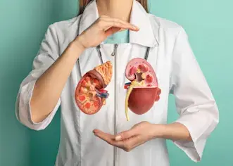 Doctor with Kidney Model